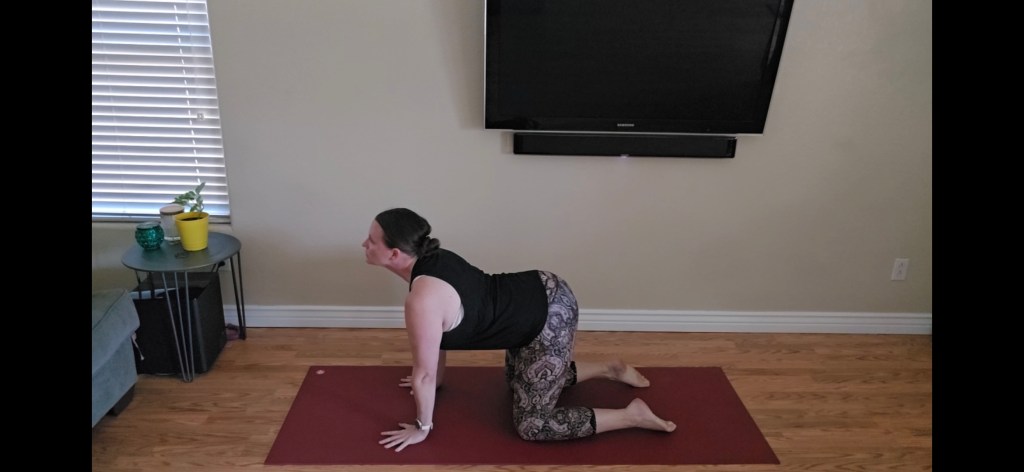 Cat-Cow yoga pose sequence for beginners to warm up the spine