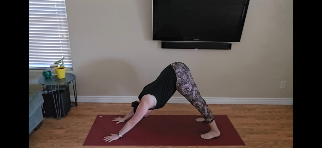 Downward Dog beginner yoga pose for flexibility and strength